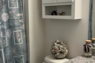 228 Bickley View Ct, Chapin, SC 29036 - Photo 18