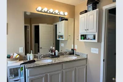 228 Bickley View Court, Chapin, SC 29036 - Photo 26