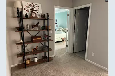 228 Bickley View Court, Chapin, SC 29036 - Photo 22