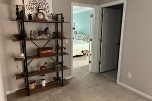 228 Bickley View Ct, Chapin, SC 29036 - Photo 22