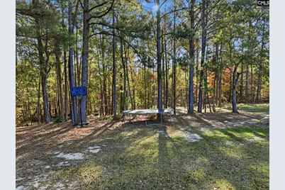 260 Darren Boozer Road, Prosperity, SC 29127 - Photo 28