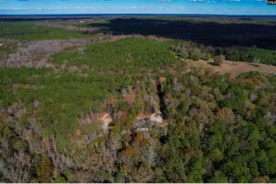 9498 US Highway 176, Pomaria, SC 29126 - Photo 64