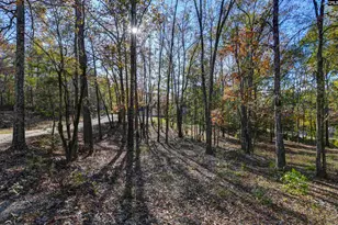 9498 US Hwy 176, Pomaria, SC 29126 - Photo 6