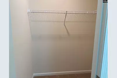 945 Bergenfield Lane, Chapin, SC 29036 - Photo 18