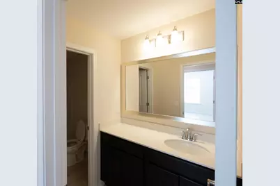 945 Bergenfield Lane, Chapin, SC 29036 - Photo 38