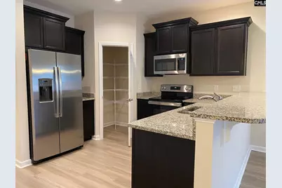 945 Bergenfield Lane, Chapin, SC 29036 - Photo 4