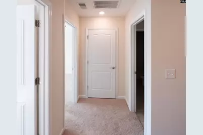 945 Bergenfield Lane, Chapin, SC 29036 - Photo 40