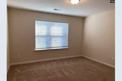 945 Bergenfield Lane, Chapin, SC 29036 - Photo 16