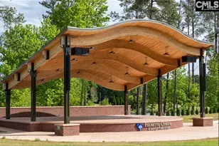 2478 Green Viper Loop, Blythewood, SC 29016 - Photo 48