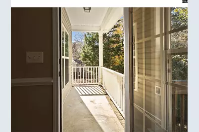 313 Explorer Drive, Chapin, SC 29036 - Photo 54