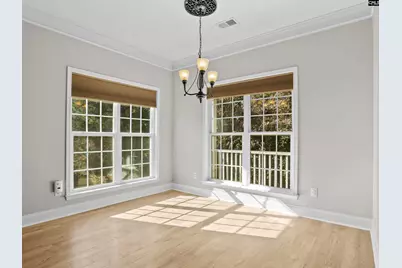313 Explorer Drive, Chapin, SC 29036 - Photo 24