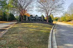 313 Explorer Dr, Chapin, SC 29036 - Photo 62