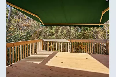 313 Explorer Drive, Chapin, SC 29036 - Photo 52