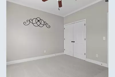 313 Explorer Drive, Chapin, SC 29036 - Photo 40
