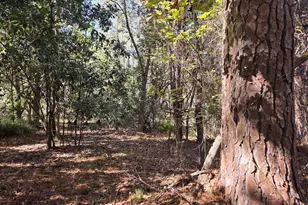 17 Five Bridges Rd, Camden, SC 29020 - Photo 6