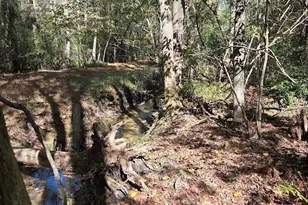 17 Five Bridges Rd, Camden, SC 29020 - Photo 14