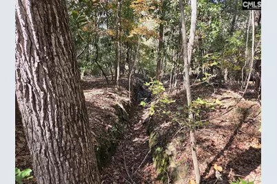 17 Five Bridges Road, Camden, SC 29020 - Photo 12