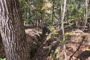 17 Five Bridges Rd, Camden, SC 29020 - Photo 12