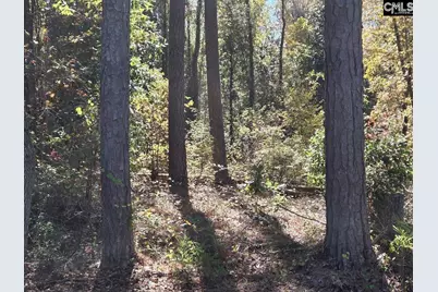 17 Five Bridges Road, Camden, SC 29020 - Photo 18