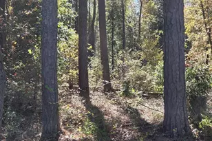 17 Five Bridges Rd, Camden, SC 29020 - Photo 18