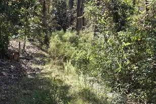 17 Five Bridges Rd, Camden, SC 29020 - Photo 16