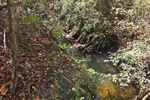 17 Five Bridges Rd, Camden, SC 29020 - Photo 10