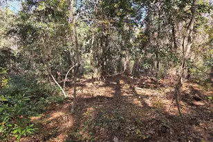 17 Five Bridges Rd, Camden, SC 29020 - Photo 8