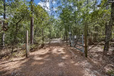 121 Coral Court, Lexington, SC 29073 - Photo 46