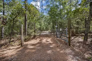 121 Coral Ct, Lexington, SC 29073 - Photo 46
