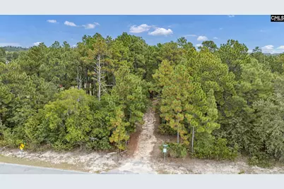 121 Coral Court, Lexington, SC 29073 - Photo 48