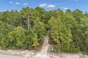 121 Coral Ct, Lexington, SC 29073 - Photo 48