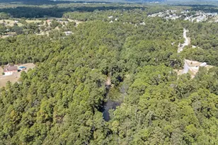121 Coral Ct, Lexington, SC 29073 - Photo 6