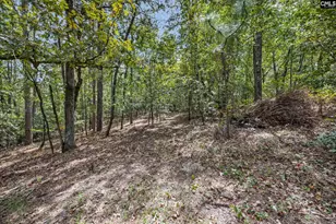 121 Coral Ct, Lexington, SC 29073 - Photo 38