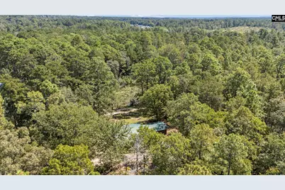 121 Coral Court, Lexington, SC 29073 - Photo 50