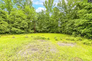 4656 Bluff Rd, Columbia, SC 29209 - Photo 4