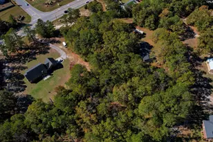 331 Langford Rd, Blythewood, SC 29016 - Photo 58