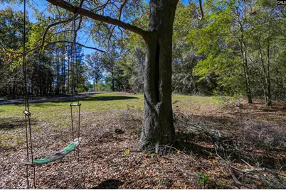 331 Langford Road, Blythewood, SC 29016 - Photo 42