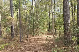 4079 Jefferson Davis Hwy, Bethune, SC 29009 - Photo 18