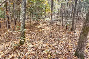 4079 Jefferson Davis Hwy, Bethune, SC 29009 - Photo 4