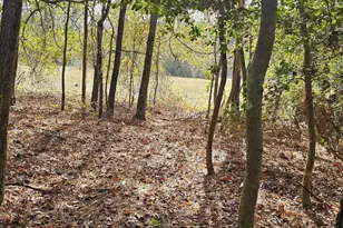 4079 Jefferson Davis Hwy, Bethune, SC 29009 - Photo 2