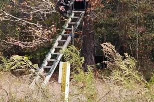 4079 Jefferson Davis Hwy, Bethune, SC 29009 - Photo 10