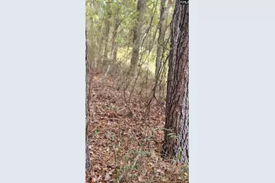 4079 Jefferson Davis Highway, Bethune, SC 29009 - Photo 14