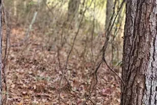 4079 Jefferson Davis Hwy, Bethune, SC 29009 - Photo 14