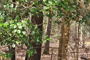 4079 Jefferson Davis Hwy, Bethune, SC 29009 - Photo 28