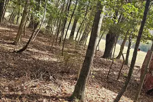 4079 Jefferson Davis Hwy, Bethune, SC 29009 - Photo 16