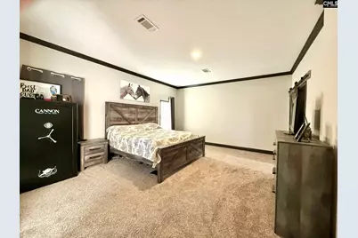 4954 Sc Highway 773, Pomaria, SC 29126 - Photo 10