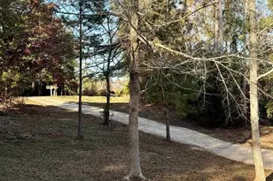 4954 Sc Hwy 773, Pomaria, SC 29126 - Photo 24