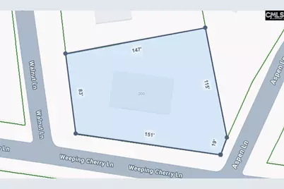 200 Weeping Cherry Lane, Columbia, SC 29212 - Photo 56