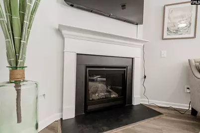 201 Boseman Road, Irmo, SC 29063 - Photo 16