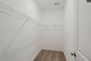 201 Boseman Rd, Irmo, SC 29063 - Photo 26